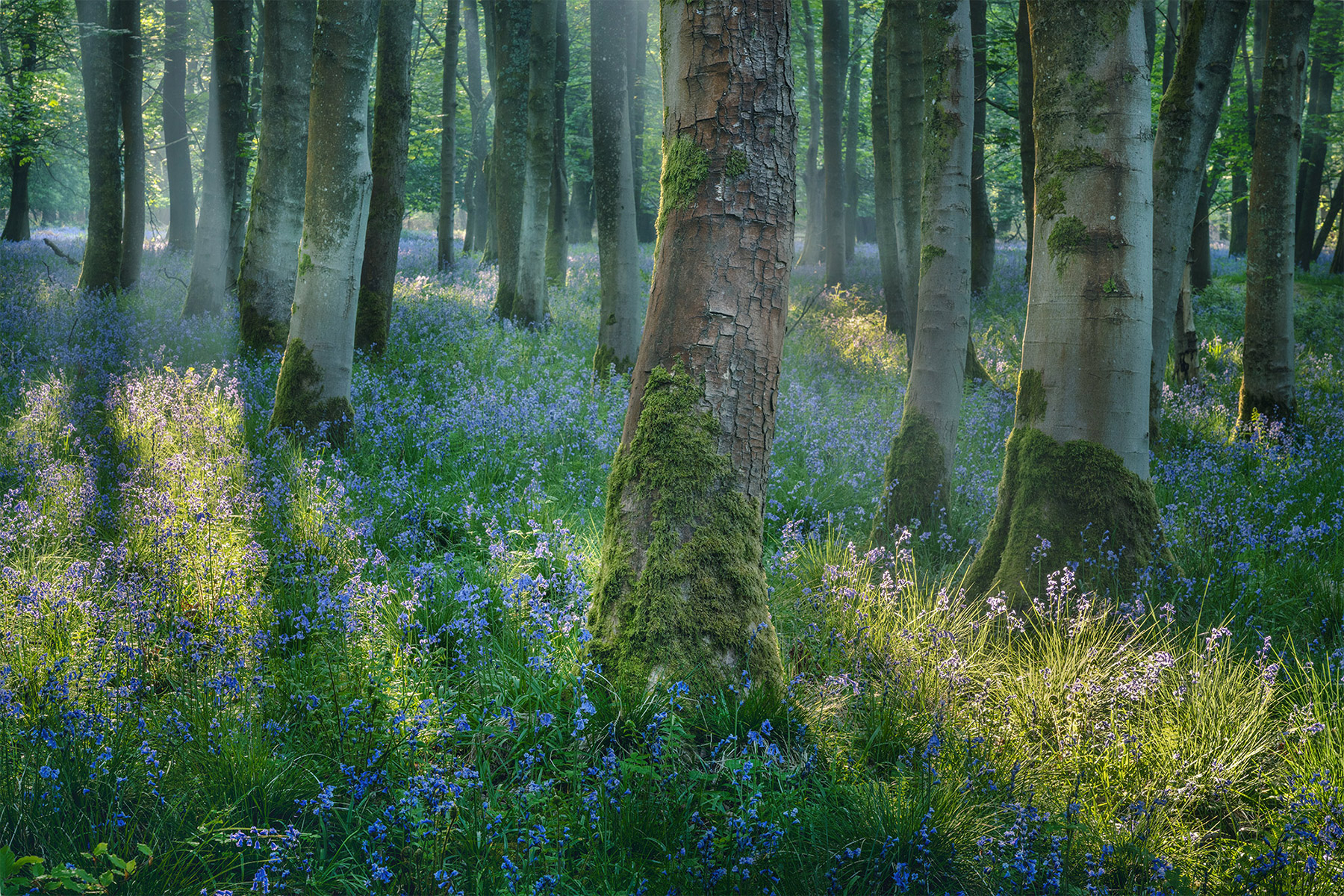 A landscape photograph made inland in the UK