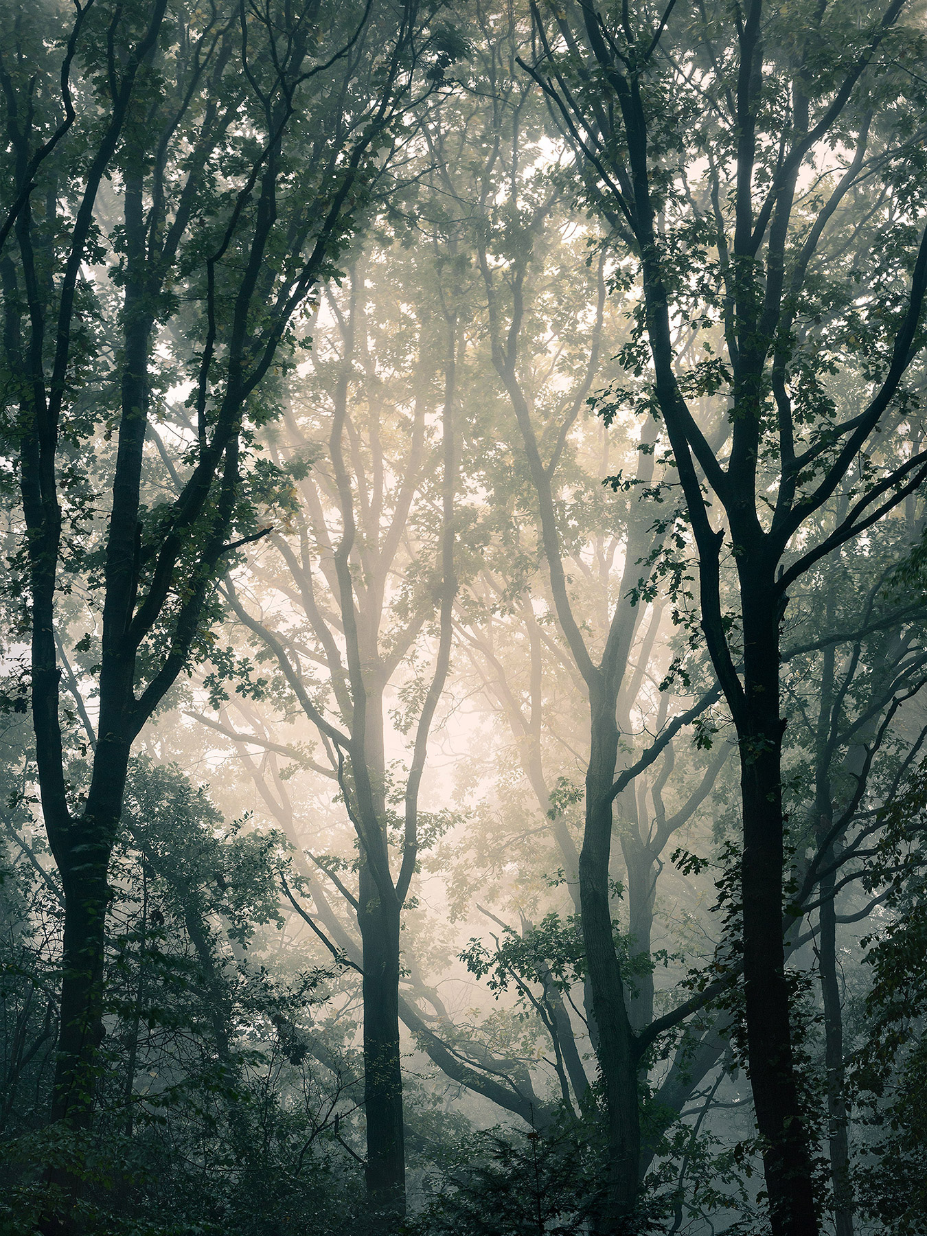 A landscape photograph made inland in the UK