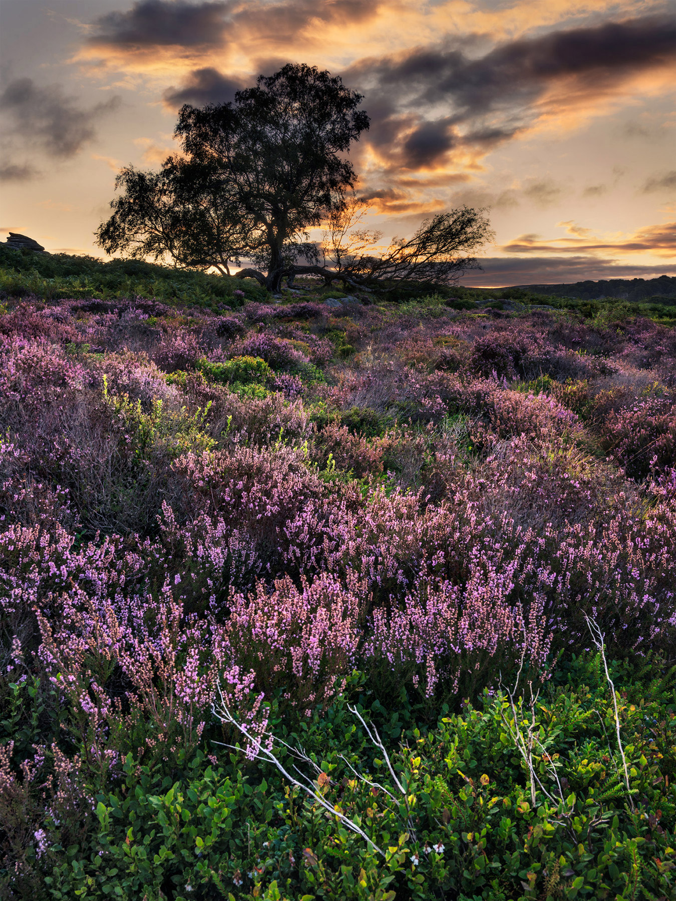 A landscape photograph made inland in the UK