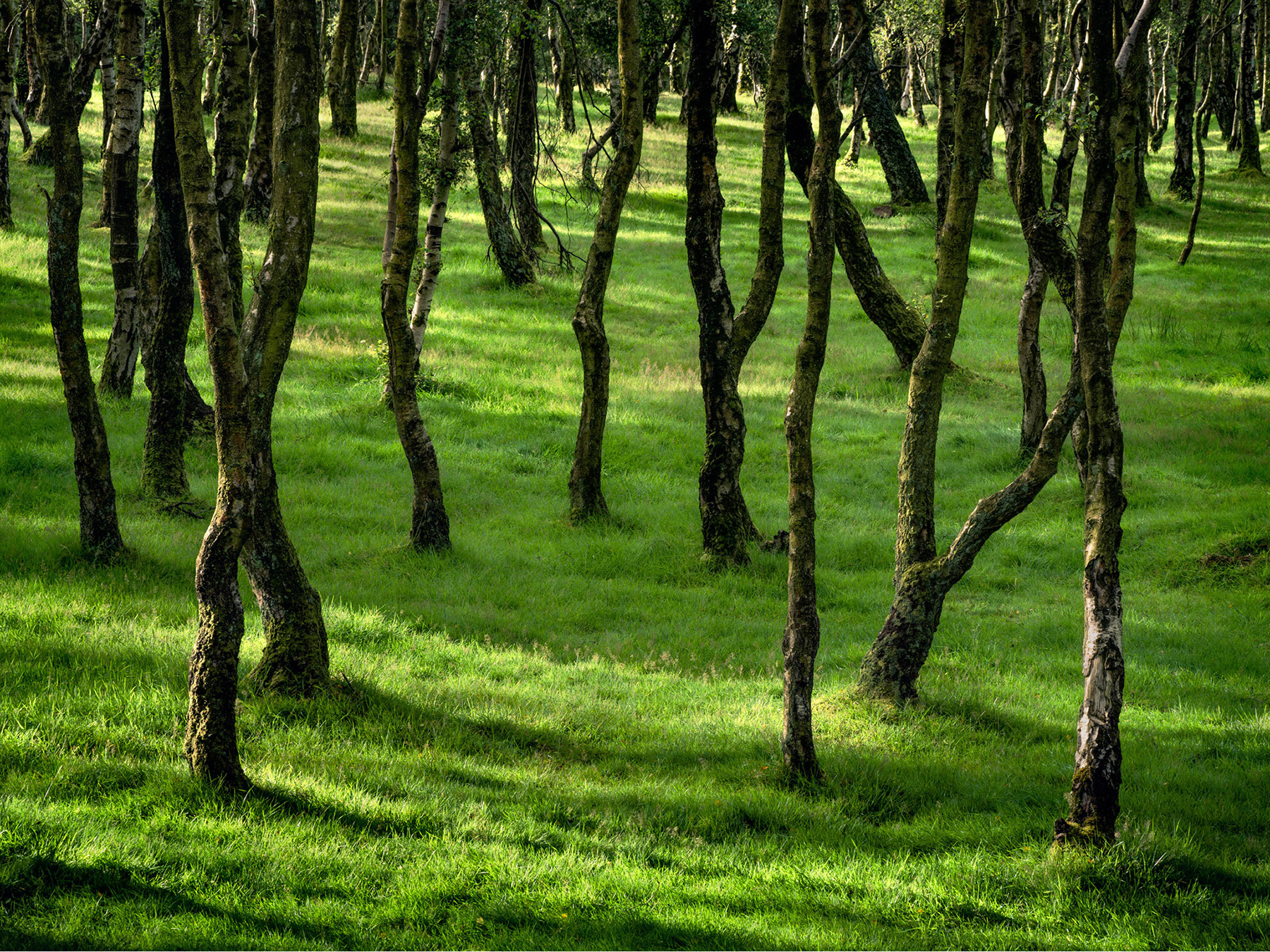 A landscape photograph made inland in the UK