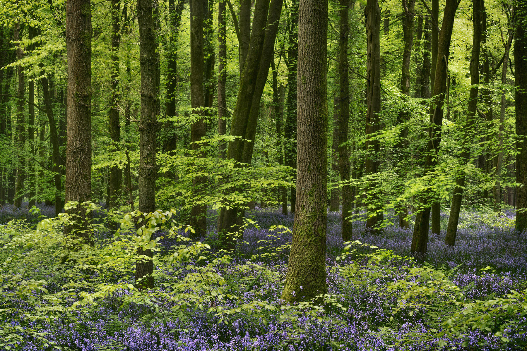 A landscape photograph made inland in the UK