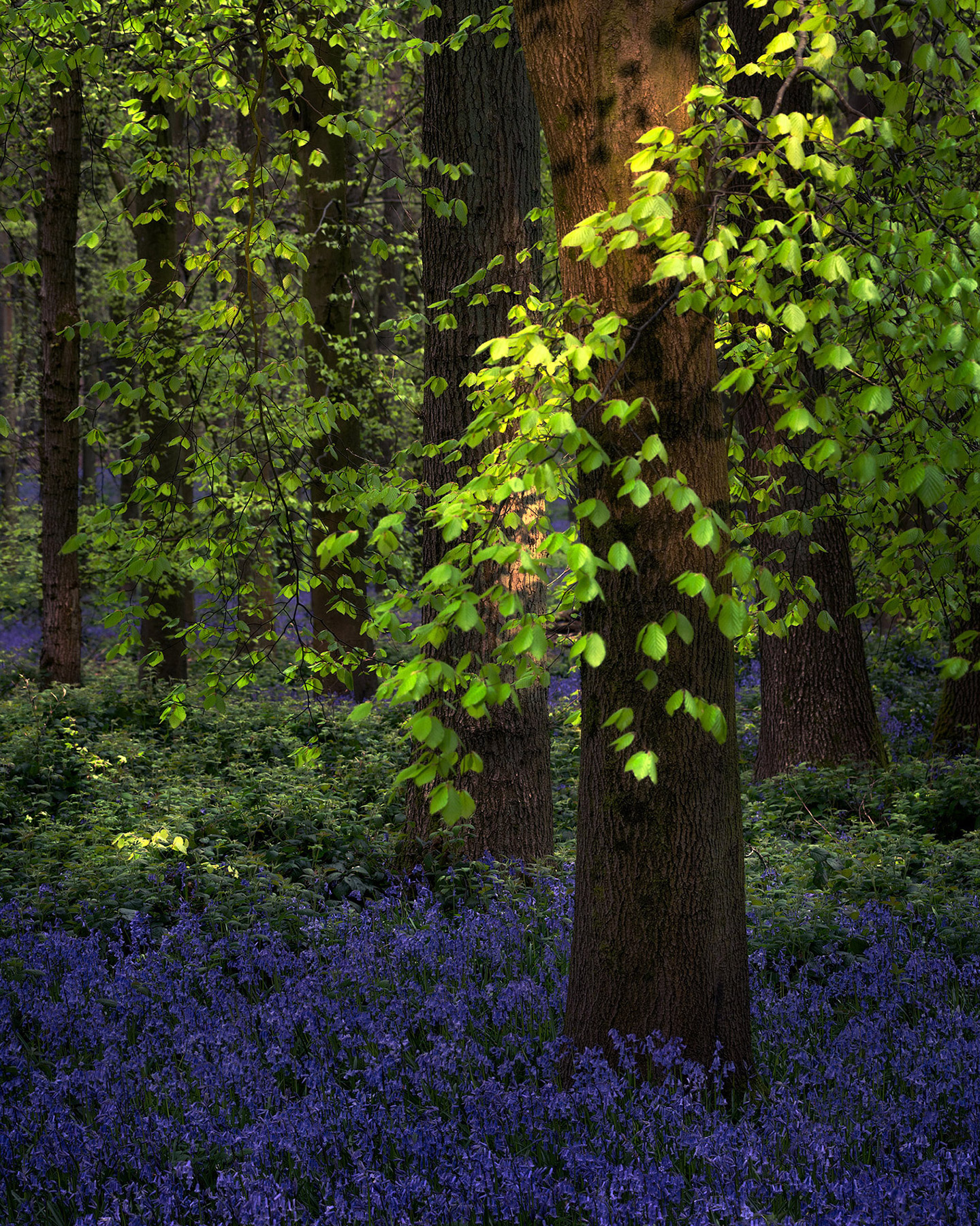 A landscape photograph made inland in the UK