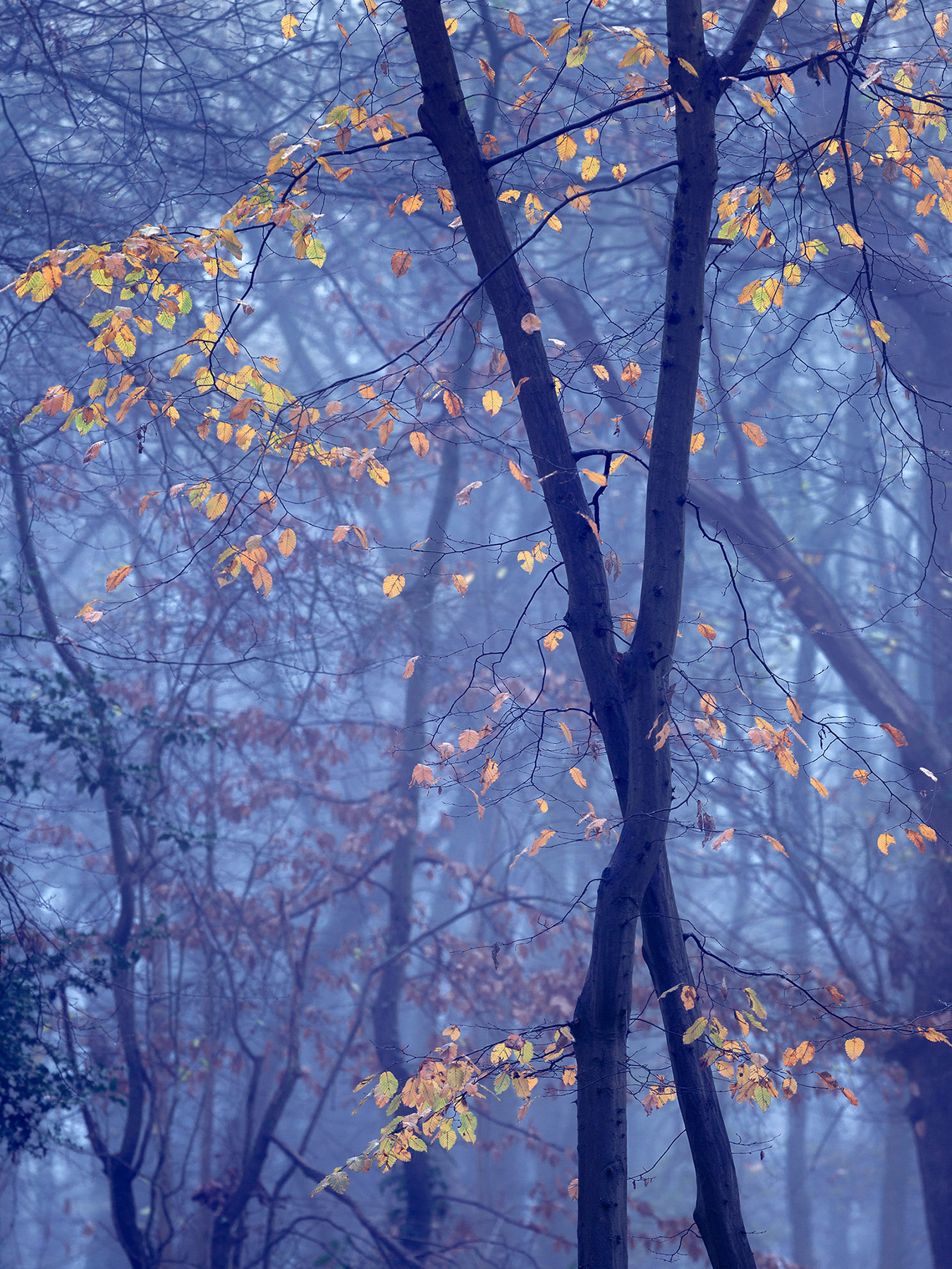 A landscape photograph made inland in the UK