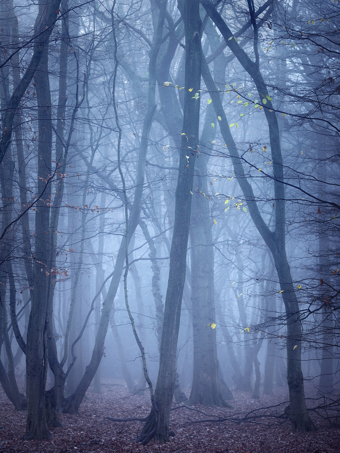 A landscape photograph made inland in the UK