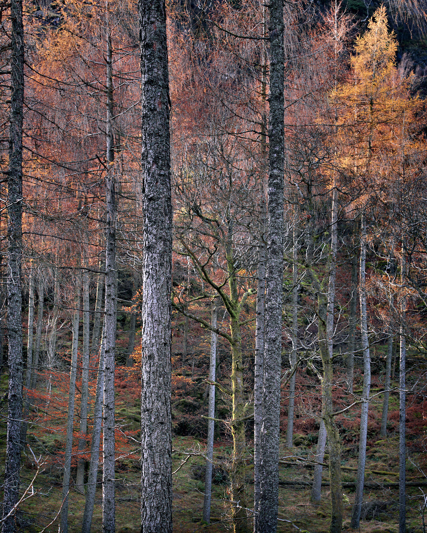 A landscape photograph made inland in the UK