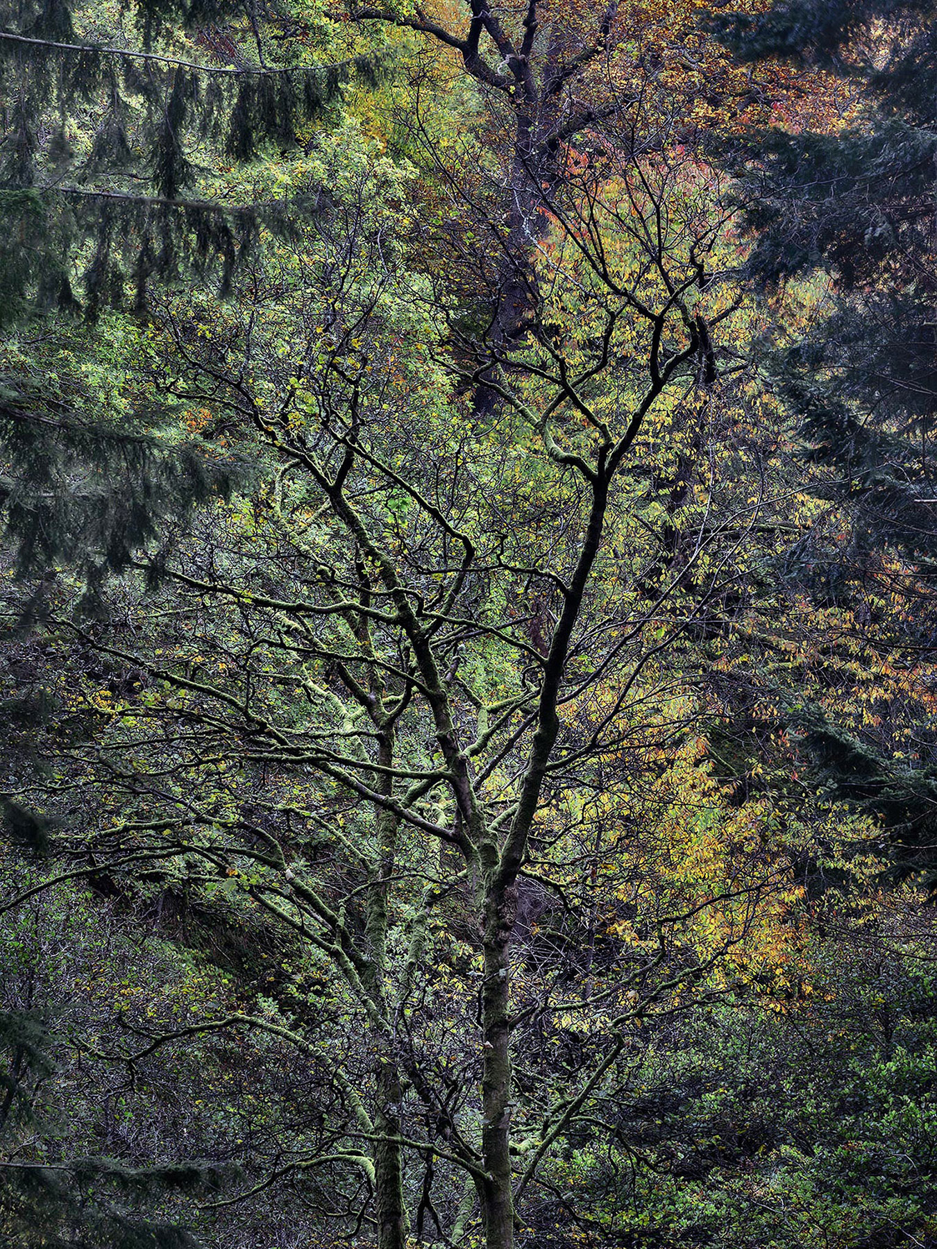 A landscape photograph made inland in the UK