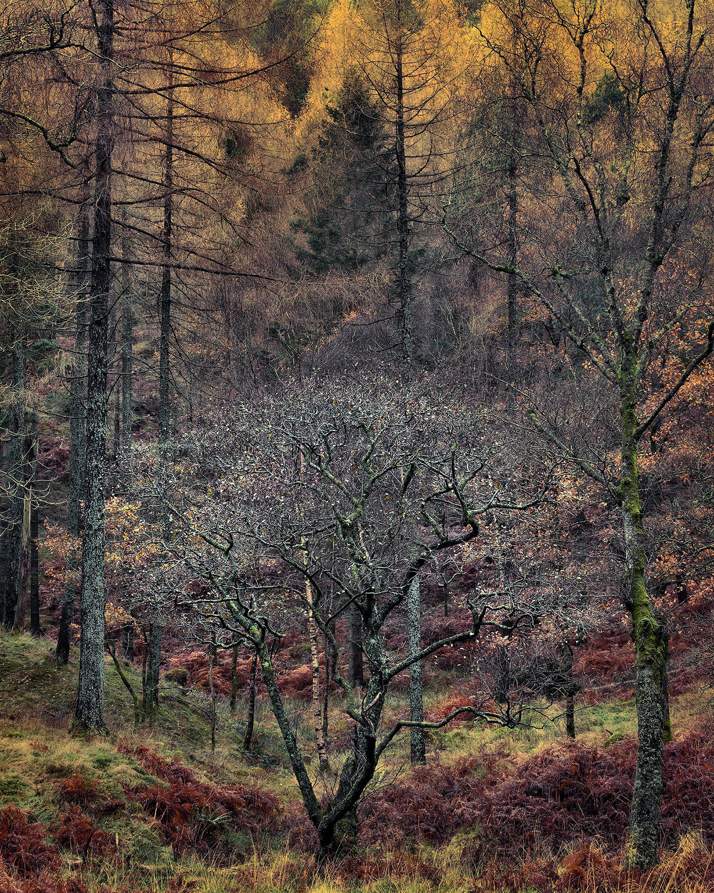A landscape photograph made inland in the UK