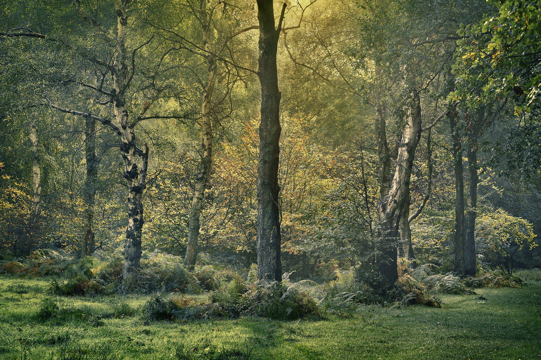A landscape photograph made inland in the UK