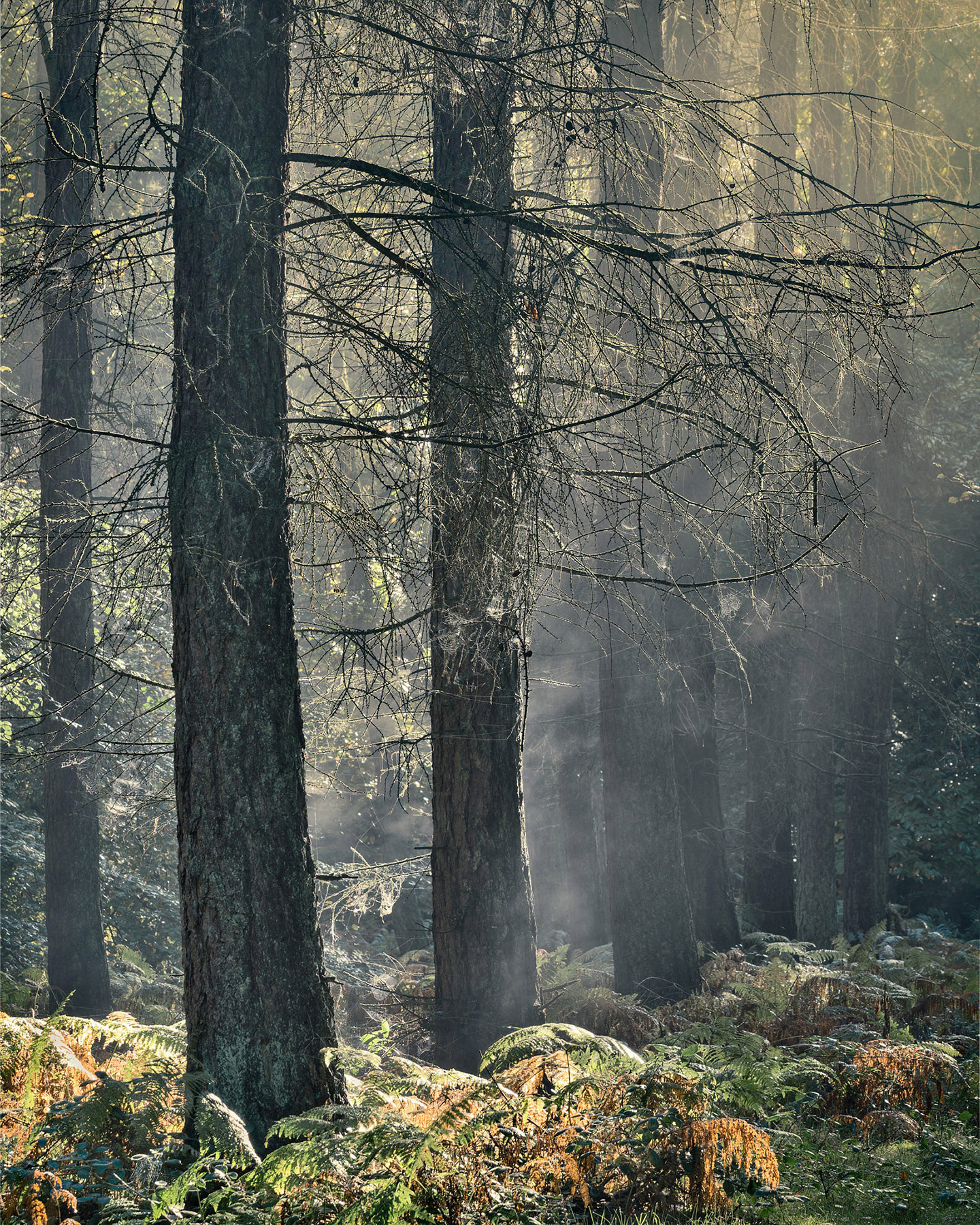 A landscape photograph made inland in the UK