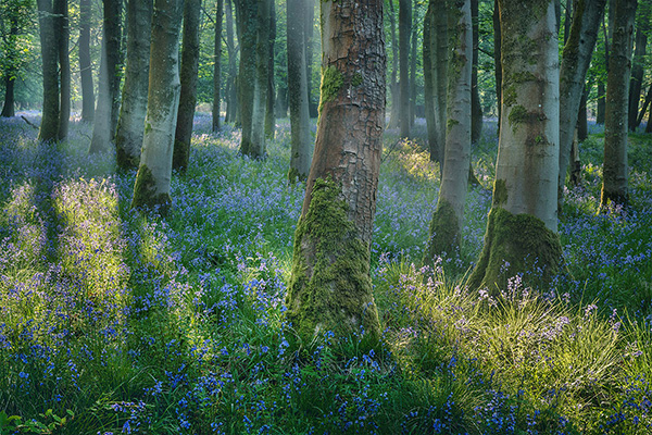 A landscape photograph made inland in the UK
