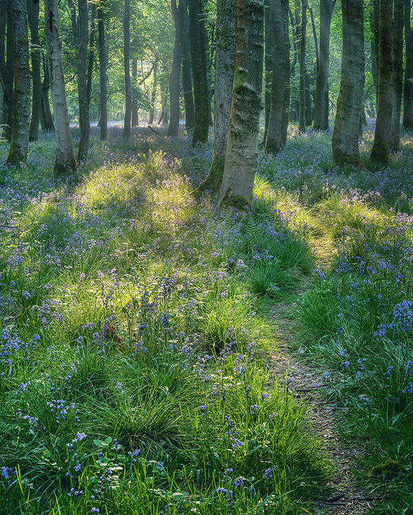 A landscape photograph made inland in the UK