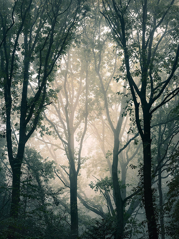 A landscape photograph made inland in the UK