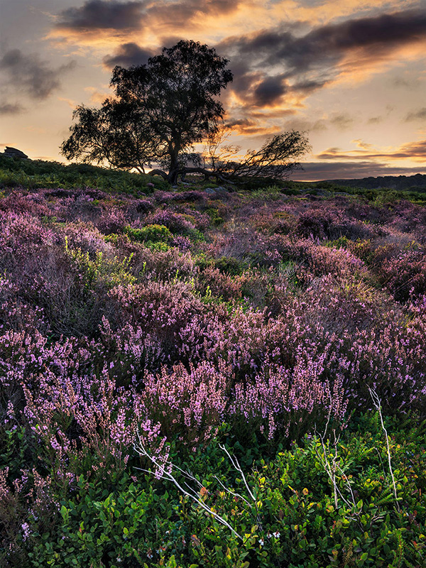A landscape photograph made inland in the UK
