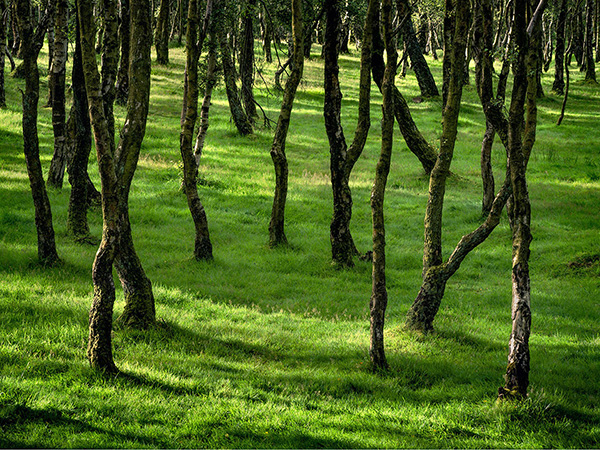 A landscape photograph made inland in the UK
