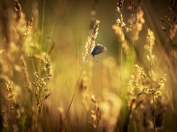 A landscape photograph made inland in the UK