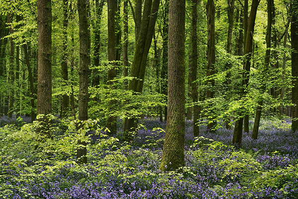 A landscape photograph made inland in the UK