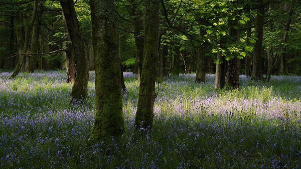 A landscape photograph made inland in the UK