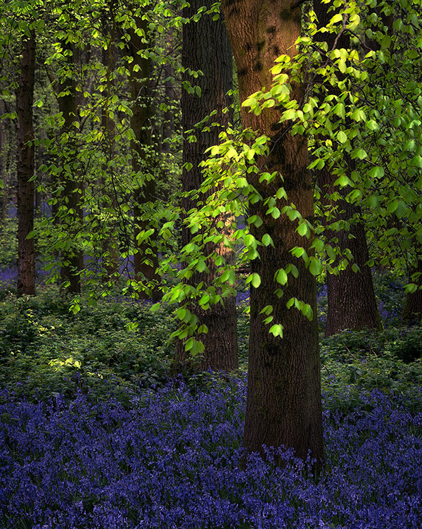 A landscape photograph made inland in the UK