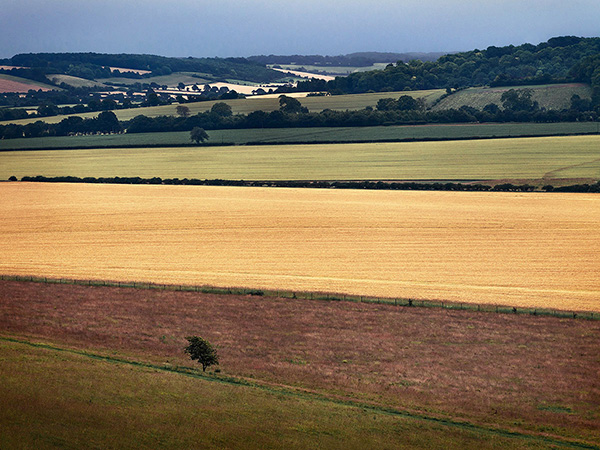 A landscape photograph made inland in the UK