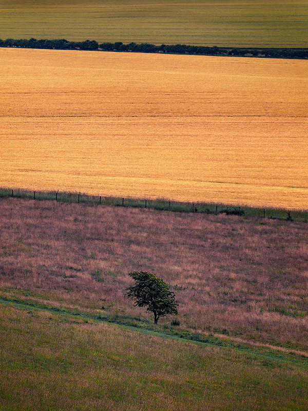 A landscape photograph made inland in the UK