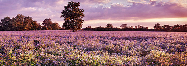 A landscape photograph made inland in the UK
