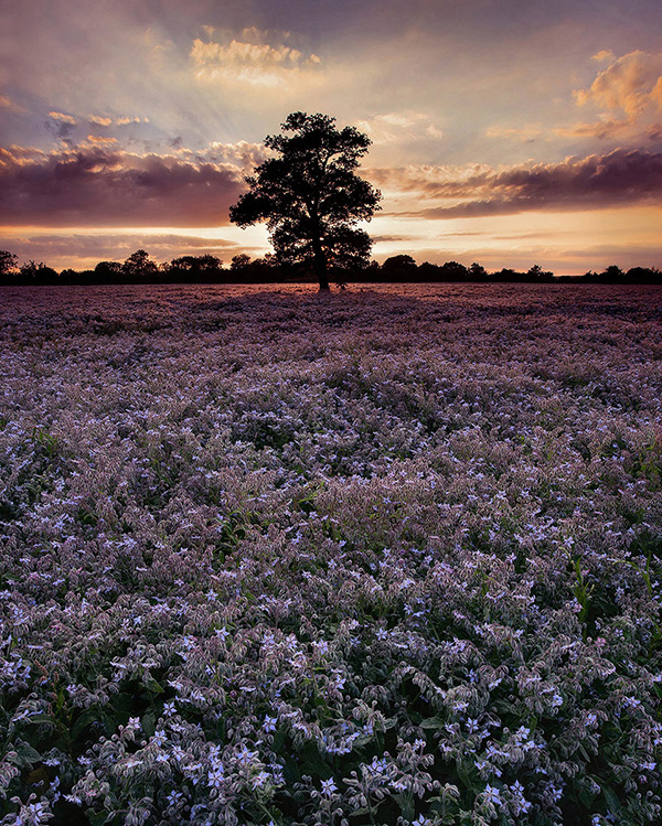 A landscape photograph made inland in the UK
