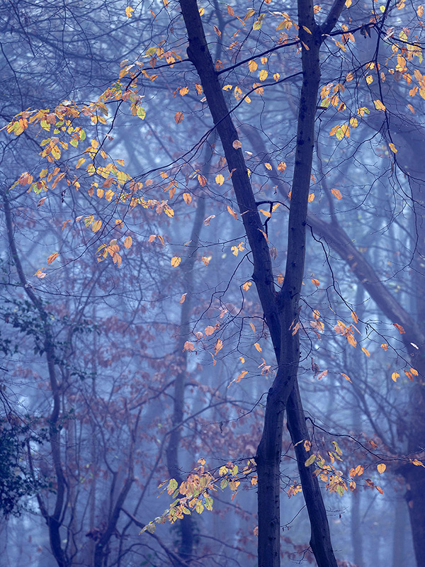 A landscape photograph made inland in the UK