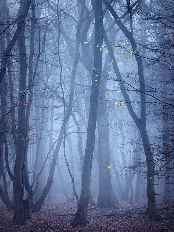 A landscape photograph made inland in the UK