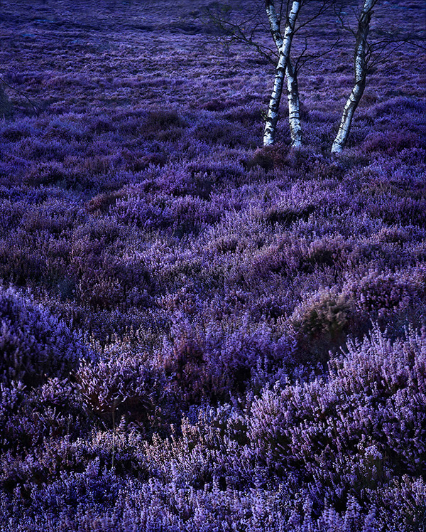A landscape photograph made inland in the UK