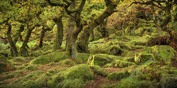 A landscape photograph made inland in the UK