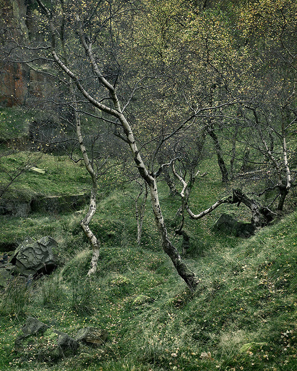 A landscape photograph made inland in the UK