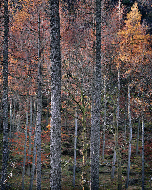 A landscape photograph made inland in the UK