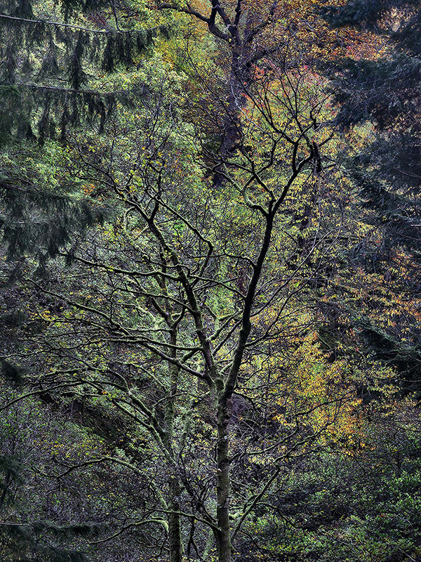 A landscape photograph made inland in the UK