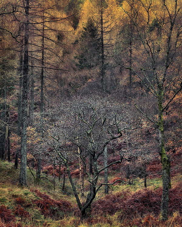 A landscape photograph made inland in the UK