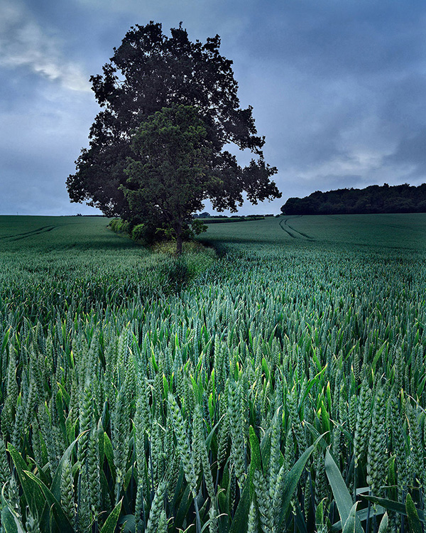 A landscape photograph made inland in the UK