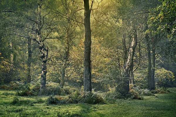 A landscape photograph made inland in the UK