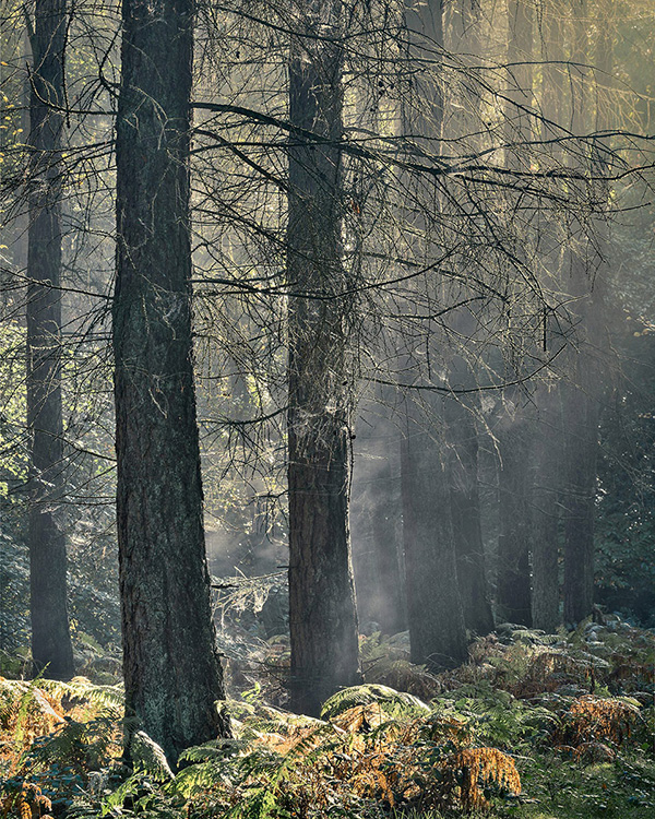 A landscape photograph made inland in the UK