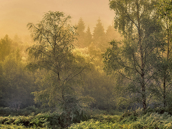 A landscape photograph made inland in the UK