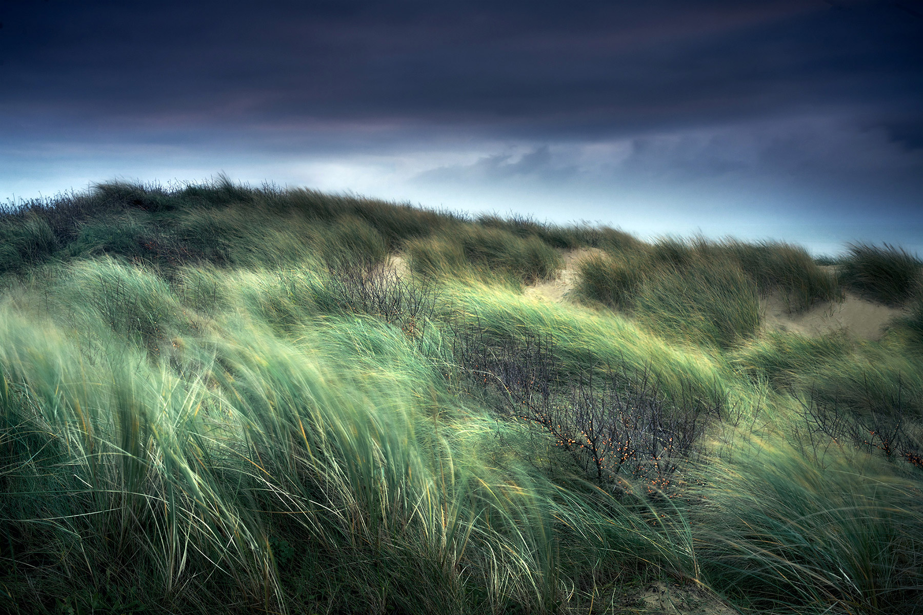 Landscape image made on the south east coat of England.