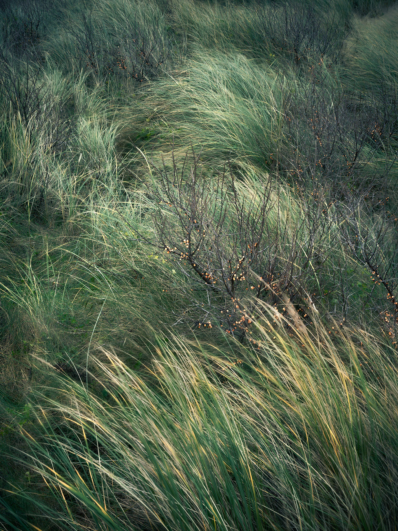 Landscape image made on the south east coat of England.