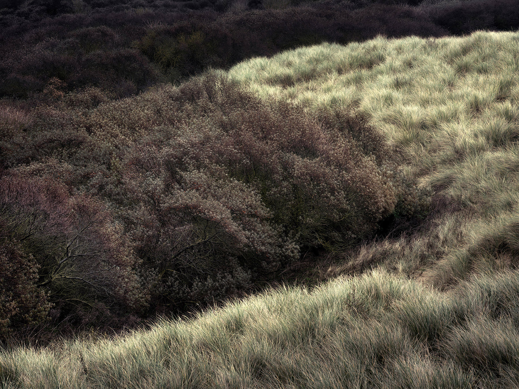 Landscape image made on the south east coat of England.
