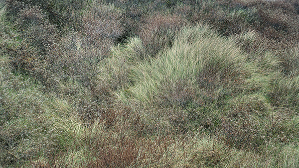 Landscape image made on the south east coat of England.