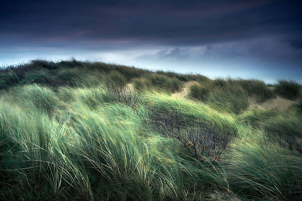 Landscape image made on the south east coat of England.