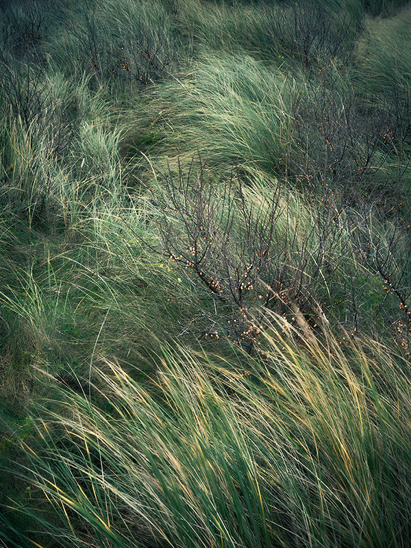 Landscape image made on the south east coat of England.