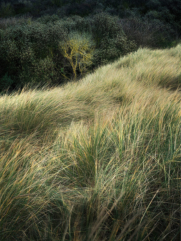 Landscape image made on the south east coat of England.