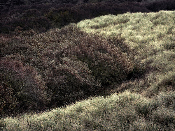 Landscape image made on the south east coat of England.