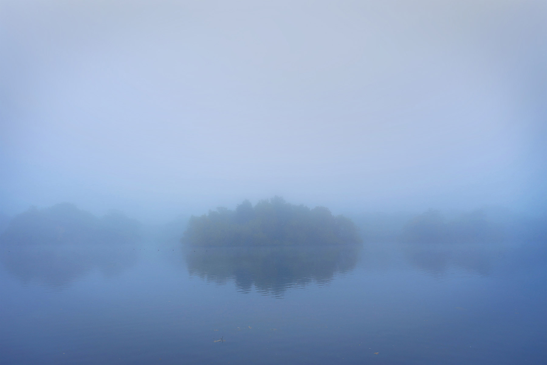 A woodland landscape photograph made in Epping Forest, Essex.