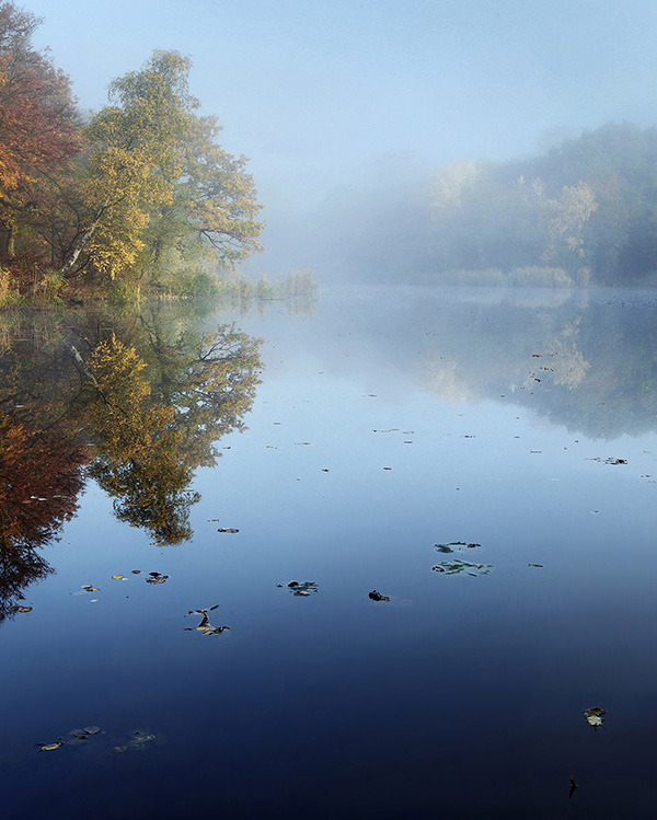 A woodland landscape photograph made in Epping Forest, Essex.