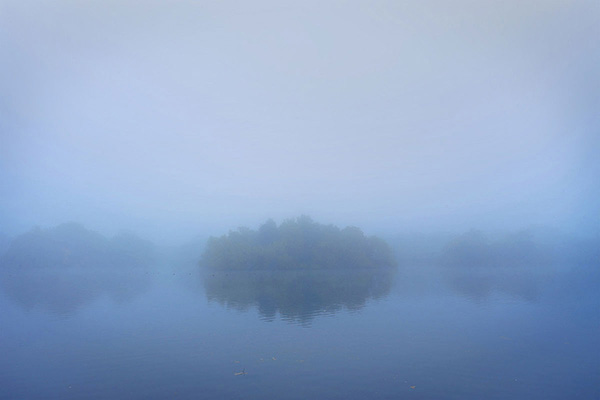 A woodland landscape photograph made in Epping Forest, Essex.