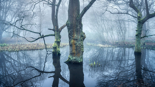 Hampstead Heath